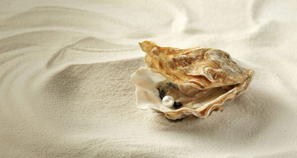 The World Is Your Oyster: Introducing the ETFSA Oyster Global Balanced Prescient AMETF