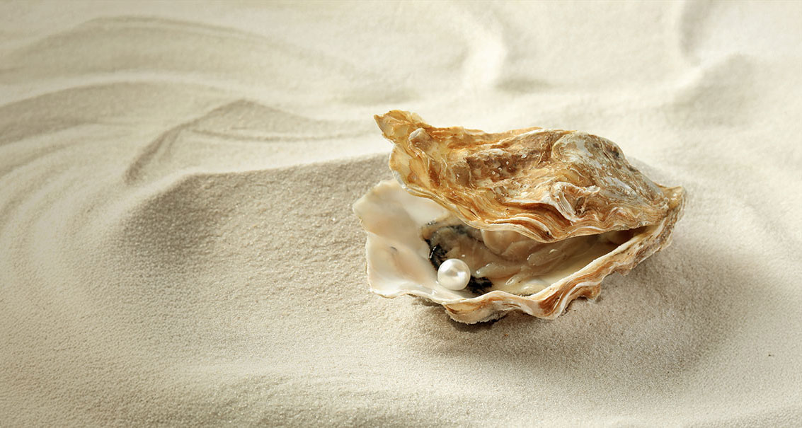 The World Is Your Oyster: Introducing the ETFSA Oyster Global Balanced Prescient AMETF